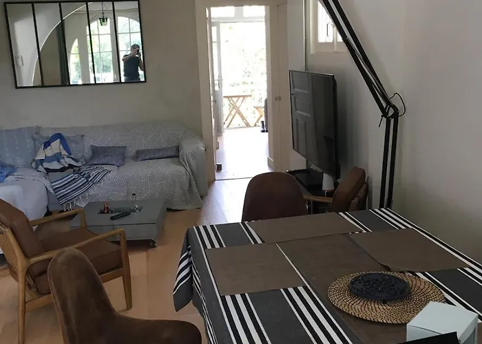 25m Benoit Grands 3p Salon 2 65m2 公寓 *